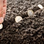 Invest Like a Guru(像大师一样投资), 这本书怎么样? 哪里可以买到?
